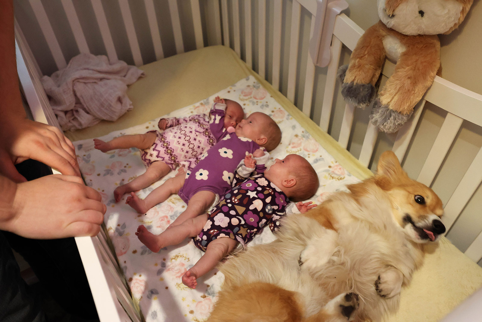 2023-08-17-triplet-safe-delivery-3