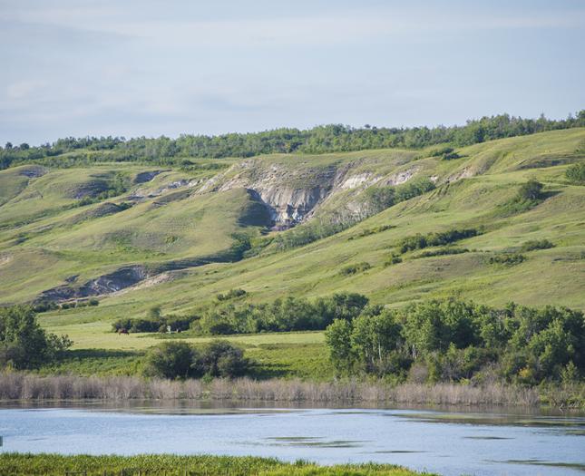 Medicine Hat, Alberta Medicine Hat landscape