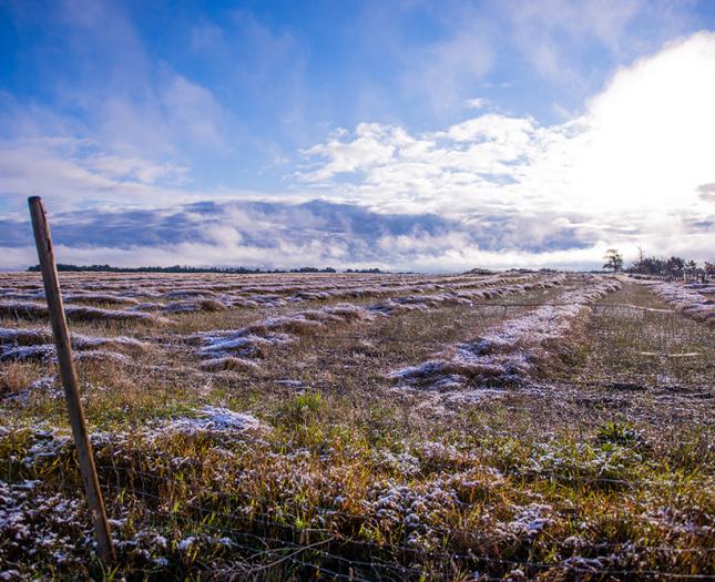 Mundare, Alberta Mundare landscape