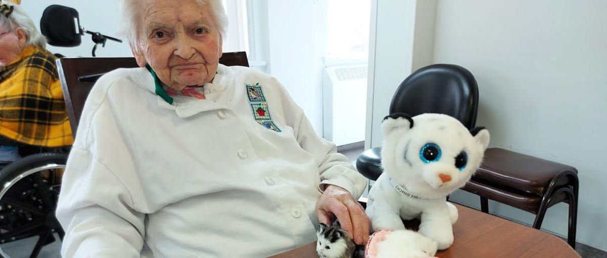 2021-06-10-cat_companion-hero