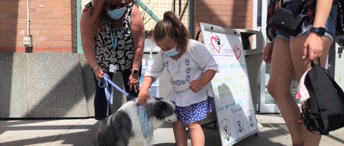 2021-06-29-dog-therapy-hero_