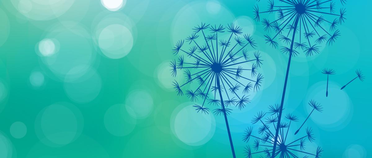 Palliative Education and Research Conference Palliative care dandelion graphic