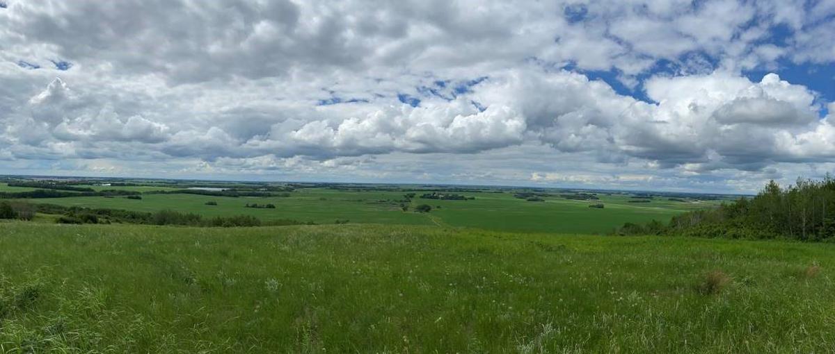 The view toward Vegreville from Akasu Hill is full of grassy plains and trees under a cloudy sky