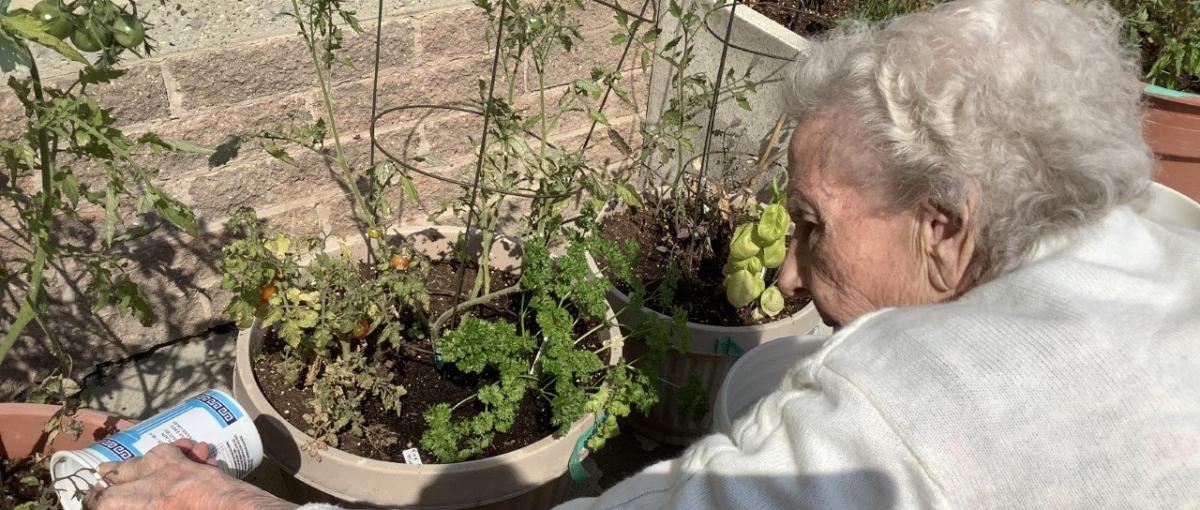 rubena_watering.original