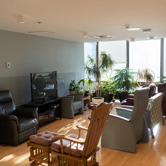 Living room with easy chairs, plants and large windows