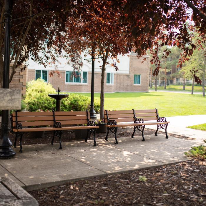 Courtyard with benches and trees during summer